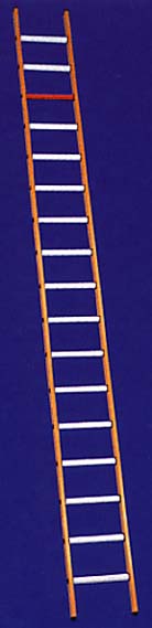 Smits Polyester Single Ladder with 8 Steps. Straight Foot